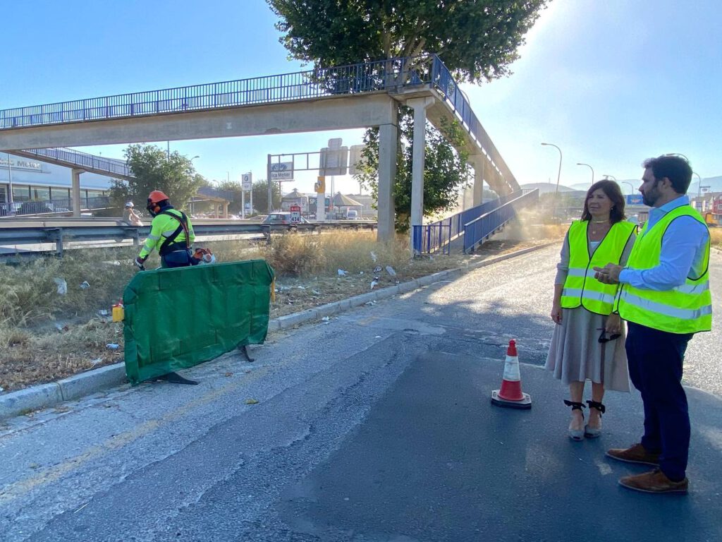 Desbroce en Avenida de Andalucía (agosto 2023) 1 - 