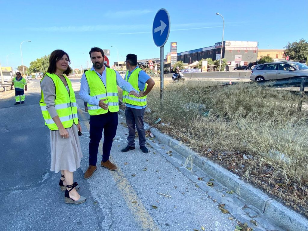 Desbroce en Avenida de Andalucía (agosto 2023) 2 - 